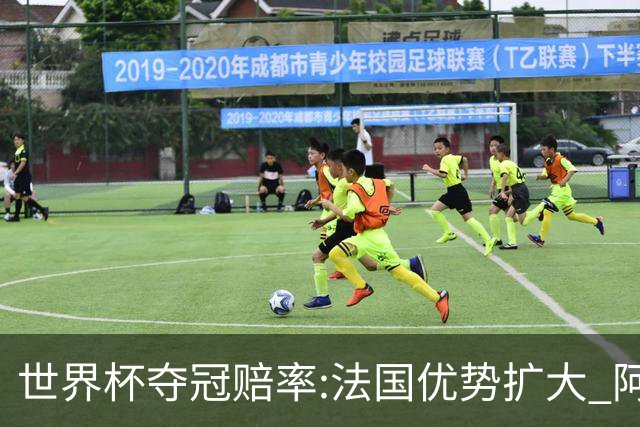 世界杯夺冠赔率:法国优势扩大 阿根廷西班牙紧追