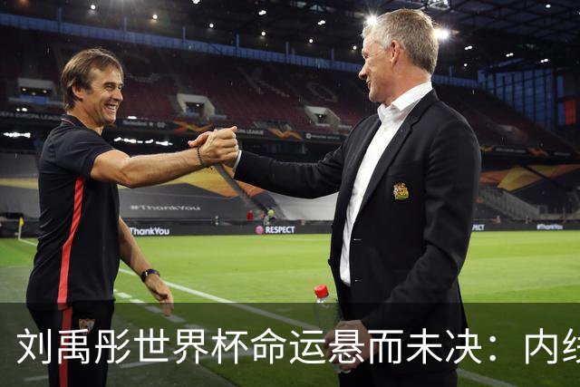 刘禹彤世界杯命运悬而未决：内线竞争白热化，功能互补成关键