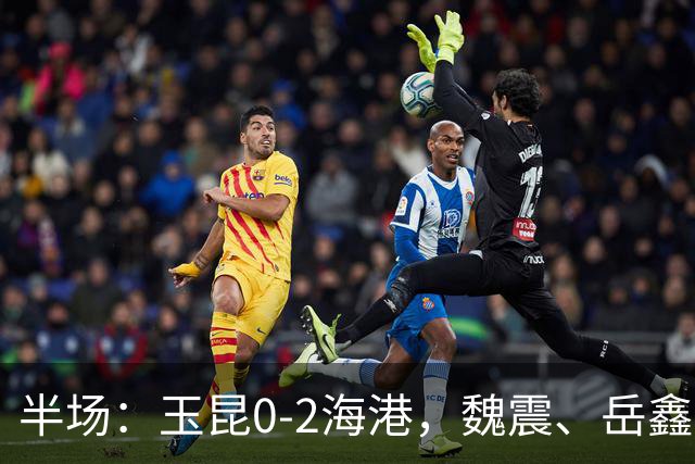 半场：玉昆0-2海港，魏震、岳鑫破门