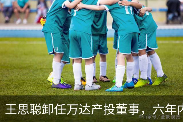王思聪卸任万达产投董事，六年内已三度退出“万达系”决策层