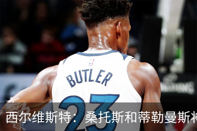 西尔维斯特：桑托斯和蒂勒曼斯将在曼联表现出色